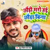 About Chhauri Maro Hae Chhaura Bina Song